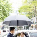 미무아르 이미지