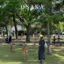 현대사슴목장 | 오사카 근교 소도시 | 나라 고베 자유여행 코스 버스투어 예약