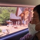 카리타스 이미지