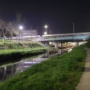 시장교1 이미지