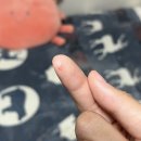 미광목장 | 221009