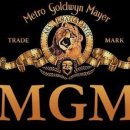 MGM 스포츠경향