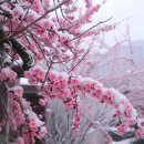 효령로 59-7 이미지