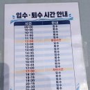 인하매표소 | 2026년 여의도 한강수영장 7월 중순 이용후기