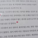 식물동네