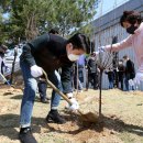 어진동_문화체육관광부 이미지