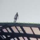 영동1터널(서울)