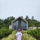 금오름 오르고 한라당몰국수 먹은 후기 스팅그레이 카페까지