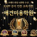 사람과 애견미용 이미지