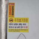 동경전기상사 | 포항 롯데시네마에서 영화 얼굴 보고 온 후기