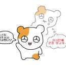 세이프키친 이미지