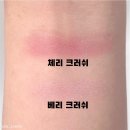 웜웜 | 올영 쿨톤 블러셔 투슬래시포 올 오버 페이스 블러쉬 신상 베리크러쉬 체리크러쉬 후기 공홈구매추천