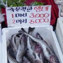 싱싱한생선 이미지