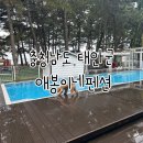 애봉이네 | 태안애견펜션[ 애봉이네펜션 ] 솔직 후기🐶 태안대형견펜션 찾는다면 참고하세요! -내돈내산