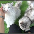 아이조아 요양보호소 경기광주 이미지