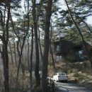 포레스트비