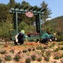 수플사회적협동조합 이미지