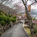 천광사 | 일본 히로시마 오노미치 고양이 골목 네코노 호소미치 탐방기