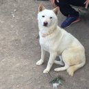 담순이네