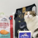 (주)내추럴발란스코리아 | 내추럴발란스 카디날코리아 콜라보 위크 고양이 사료 모래 할인