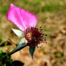 대지 행정사사무소 이미지