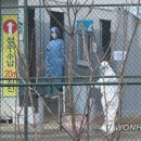 순천향대학교부속서울병원 이미지
