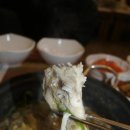 복칼국수 Daum카페