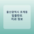 21세기치과의원 | 울산광역시 호계동 임플란트 병원 찾는다면, 가격표와 후기 먼저 보기