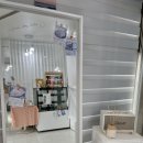 조은케이크 - 31345 | 조은케이크