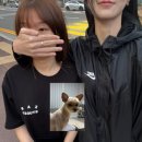 노군꼬치 서산테크노밸리점 이미지