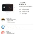 S&해외사용일시불