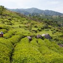 정금마을회관 이미지