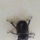 대형농장 이미지