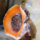 태안스테이션 이미지