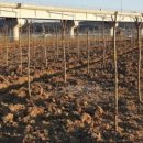 이팝농장 이미지