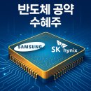 이재명 수혜주 이거 안사면 절대로 후회합니다!