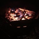 산울림목장 | [홍삼이네캠핑] 양평산울림캠핑장 6월 3째주 1박2일 캠핑 후기(feat.백구와의 마지막여행)