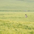 기영농장 이미지