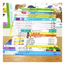 교구외 요즘 구입한 것들 / 2-5세아기 교구들 (밤비노루크 / 미니루크/ 자석교구/메모리게임)