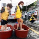 The kings man First agent | Hellobuddy 69 - The twenty-fourth day