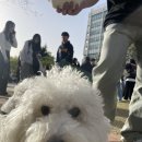 긍정킹마켓 이미지