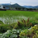 각남보건지소 이미지