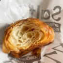 솔트24