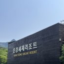 [문경] 문경새재리조트 숙박 및 바베큐 후기