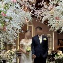 전남 아이폰 서브 스냅 &#39;데이즐스냅&#39; 여수 에뿌제 웨딩홀 펠리체홀 촬영 후기