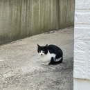 강변해밀민박 이미지