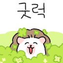 이엘호텔 이미지