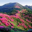 허브밸리(원형광장) 뉴시스