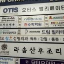 성모참플러스정형외과의원 네이버블로그