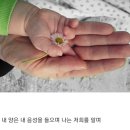 새날목장 이미지